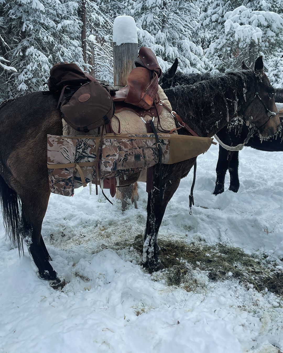 The Grand Scabbard in Relv® Copperhead on a horse in the mountains of Montana.